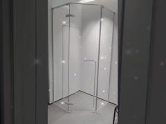 304 Material Hidden Rotating Shaft Shower Room Diamond Profile Toilet Diamond Glass Door Partition