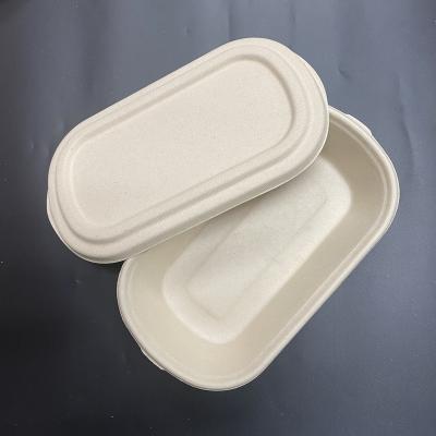 China Customized Eco Friendly Traditional Food Bagasse Containers Food Packaging Container 9