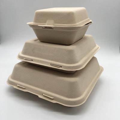 China Eco Friendly Casual Food Storage Container Sugar Cane Lunch Box Bagasse Box for sale