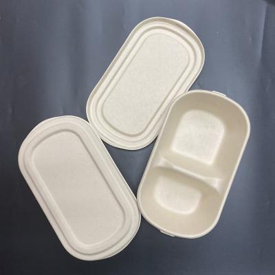 China Eco Friendly Bagasse Container Manufacturer Casual Food Packaging Container for sale