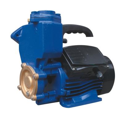 China Automotive Industry 0.5 Hp Home Use Automatic Electric Self Priming Water Pumps for sale