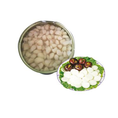 China Tinned canned slices of water chestnut for sale