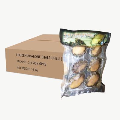 China Seafood Low Sugar Fresh Abalone Frozen Abalone Shell Abalone For Sale for sale