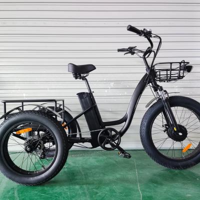 China Joyebikes cargo 500W 750W 3 three wheel fat tire electric bike cargo bike electric tricycle super quality for sale