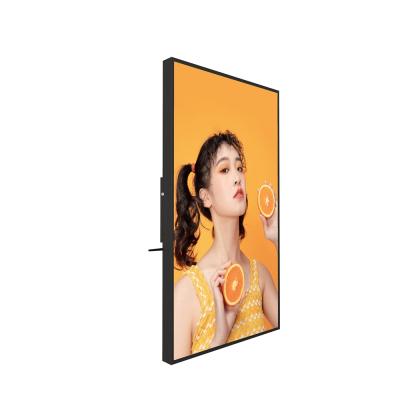 China Retail Digital Window Store Signage Player Advertising Screen 55