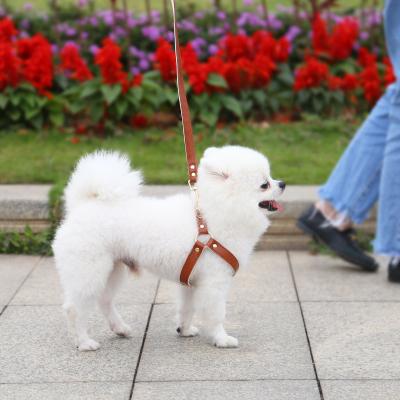 China Comfortable Warm Most Popular Factory Outlet Nylon Hands Free Leather Dog Leash For Dog for sale