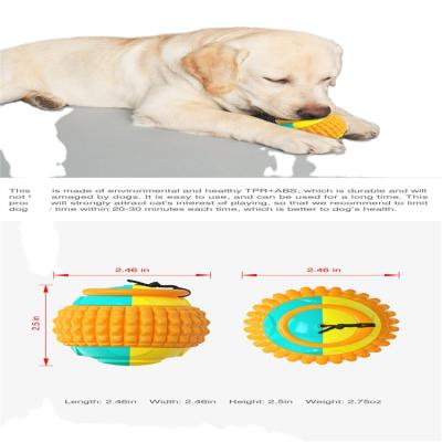 China Viable China Shape Deluxe Bite-Resistant Teeth Cleaning Stick Bone Dog Toothbrush Molar Chew Toy xx012 for sale