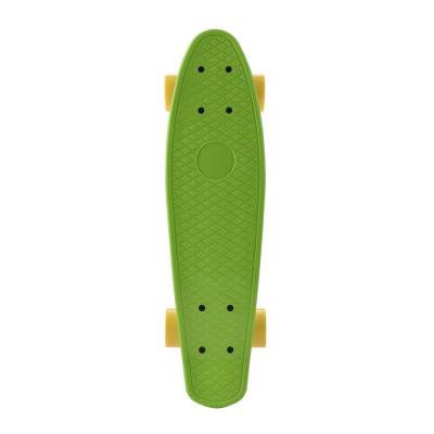 China China High Quality 22 Inch Fish Small Plastic Skateboard With Flashing Wheels for sale