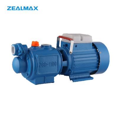 China Low Energy Self Priming Electric Motor Watering Irrigation Pump for sale