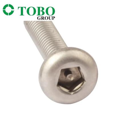 China Witn pentagonal de acero inoxidable Pin Anti-Theft Bolt Security Bolts para las puertas en venta