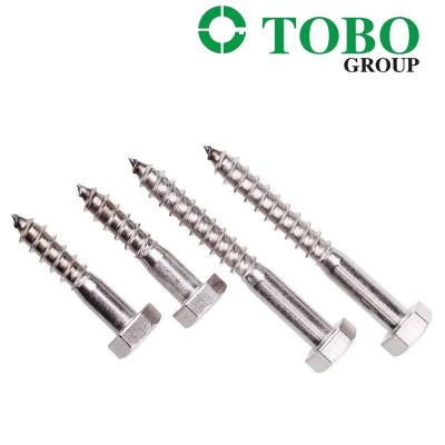 China Fastener SS DIN571 304 / 316 Stainless Steel Hexagon Head Wood Screws Hex Lag Screws Countersunk Head Screw for sale