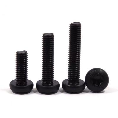 China M3 Screw Attractive Price Wholesale New Type Half Round Head Quincunx Black Screw And Fastener Torx Screw for sale