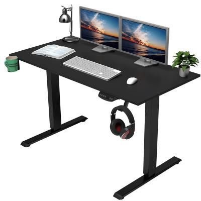 China Adjustable View Sit Stand Desk Desk (Height) Modern Design Dual Motor Height Adjustable Electric Standing Desk Desk For Sale for sale