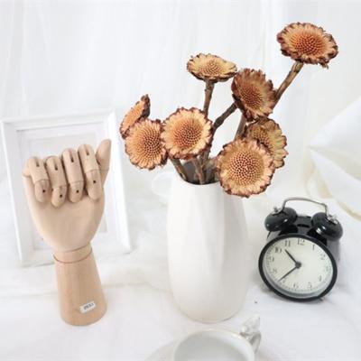 China Boho Wedding 2022 Home Party Decoration African Sunflower High Quality Dry Home Wedding Supplies for sale