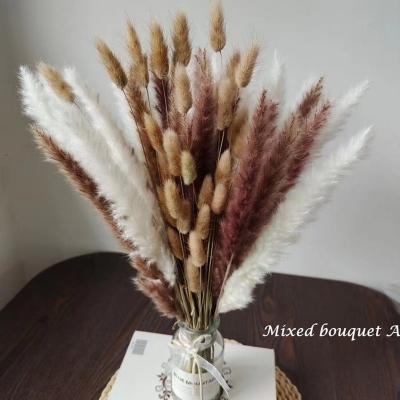 China Natural Amazon Hot Sale Touch Wedding Bunnytail Wheat Pampas Grass Home Bouquet for sale