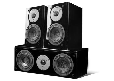 China Black Piano Paint Panel Surround Sound System , 100W 8 Ohm For 5.1 Home Movie Speakers for sale