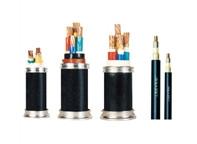 China Professional Distributor Electric Wires And Cables , Pvc Insulated Sheathed Power Cable for sale