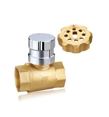 China Thermal Relief Brass Valve / 1/2