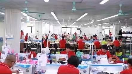 Verified China supplier - Guangdong Mly Garment Co., Ltd.