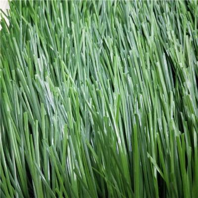 China Sports Grass Field Integrated Complex Artificial Turf H X--Diamant 60084 for sale