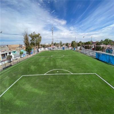 China Factory direct sale soccer field court used artificial grass stadium flooring H X--Diamant 60084 for sale