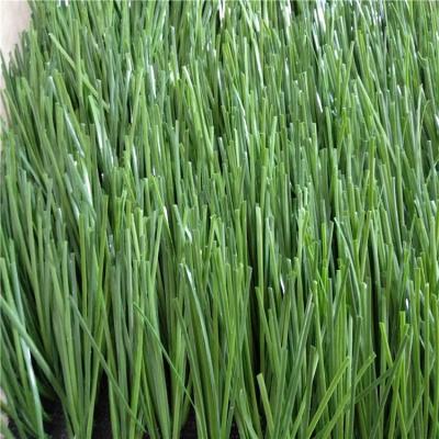 China Natural Artificial Football Field Turf Grass Mat For Mini Soccer Field for sale