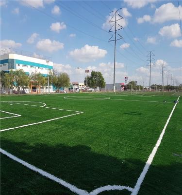 China Wholesale PE+PP Top Grade Cheap Price Grass Football Artificial Grass for sale