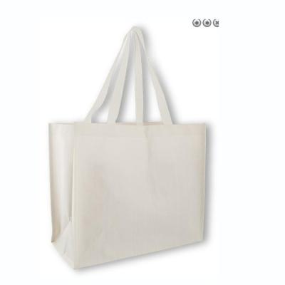 China Eco Friendly Shop Handled Foldable Reusable Nonwoven Shopping Bag for sale