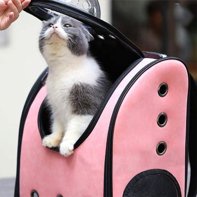 China Multifunctional Viable Pet Bag for Cat Pet Cremation Bag Dog Travel Bag Pet Made in China for sale