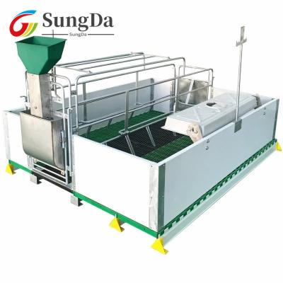 China Sow Farrowing Hot Dip Galvanizing Crate Delivery Animal Bed Cage Pig Farrowing Crate For Pig for sale