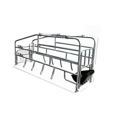 China Sow Pig Farm Farrowing Equipment Galvanized Pig Farrowing Crate for sale