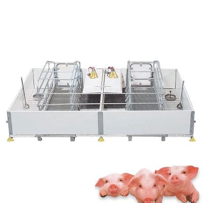 China Sow Farm Equipment Small Pig Farrowing Crates for sale