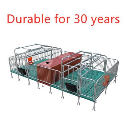 China Pig Farm Manufacturer Farrowing Sow Cage Farrowing Crate For Double Pig Farrowing Crates for sale