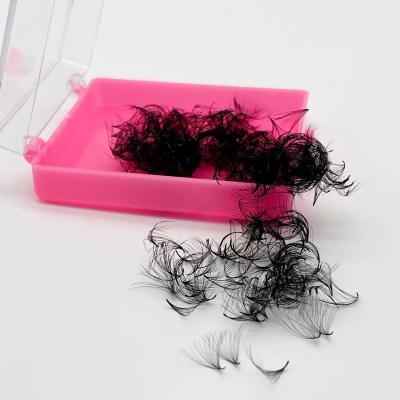 China Easy 10d 12d 14d 0.03 to 0.05 0.07 Fans Boxes Pink Superroots Custom Premade Volumes Fans Eyelash Extension for sale