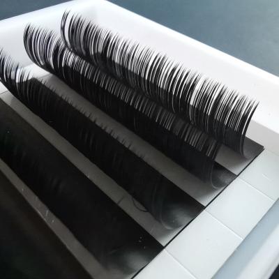 China Private Label Fan Eyelash Extensions Natural Silk Mega Volume Eyelash Fans for sale