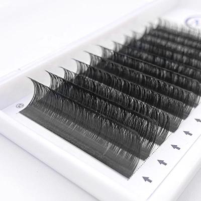 China CC Double Density Mink/Loop Silk Mink Lash Extention Eyelash Grafting One By One Lash Tray Lash Extension Custom Made for sale