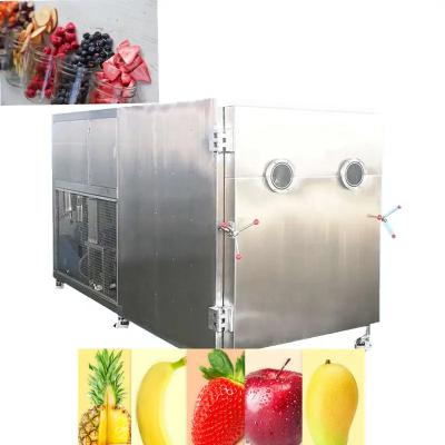 Cina Industry Vacuum Freeze Dryer Machine Strawberry Fruit And Vegetable 120Kw 25kg / Batch in vendita