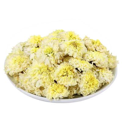 China Wholesale Loose Bulk Natural White Chrysanthemum Tea Dried Chrysanthemum Tea Chinese Scented Tea for sale