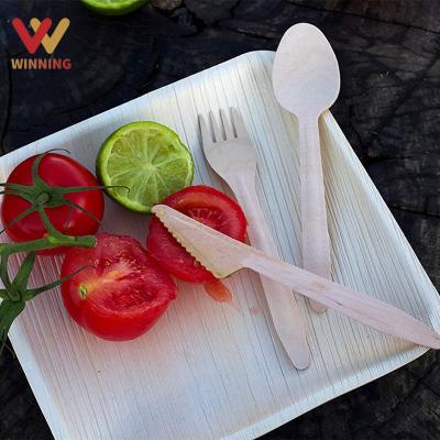 China Wood Spoon Knife Fork Household Disposable Utensils China Household Disposable Cutlery Custom Made Biodegradable Earning Manufacturing for sale