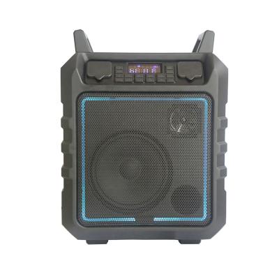 China The hottest 8 inch waterproof portable MP3 player/USB/SD/Bluetooth speaker for wholesales for sale