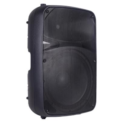 China USB/SD/FM/BT/AUX/JACK/XLR High Power DJ Remote Control Active Speaker Use Portable Professional Speaker for sale