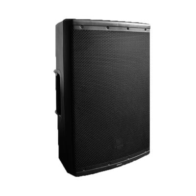 China High Power PORTABLE Passive Radiator Plastic Acoustic Speaker for sale