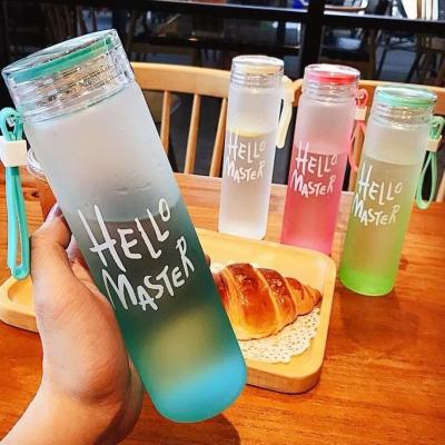 China Sustainable Custom Color 480ml High Portable Borosilicate Drinking Bottle Frosted Crystal Glass Water Bottle Reusable for sale