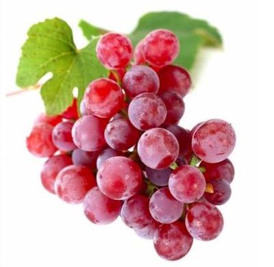 China Fresh Good Quality Crimson Shine Muscat Black Seedless Grapes for sale