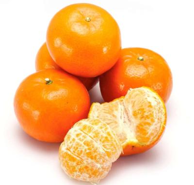 China Citrus fresh new crop tangerine fresh juicy orange for sale