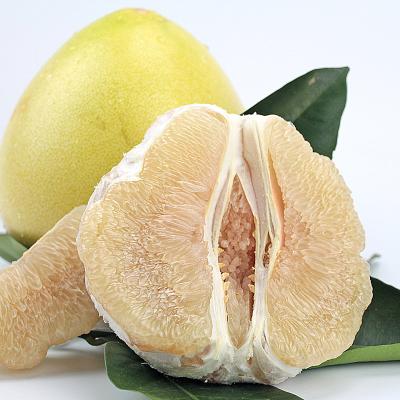 China New Hot Selling Natural Chinese Grapefruit Honey Pomelo Fresh Cultivated Low Price for sale