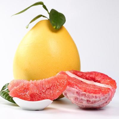 China China high quality fresh fruit wholesale export price red grapefruit 2021 for sale