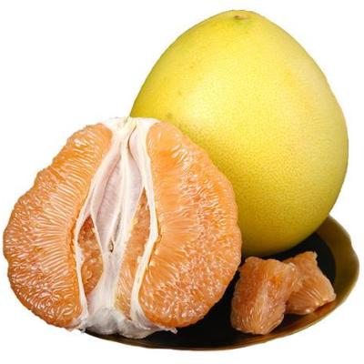 China Fresh High Quality Sweet Fresh Grapefruit Honey Golden Citrus Pomelo for sale