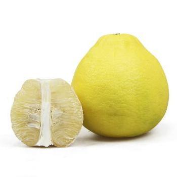 China Large Hot Selling Citrus Fresh Honey Shatian Pomelo Fresh for sale