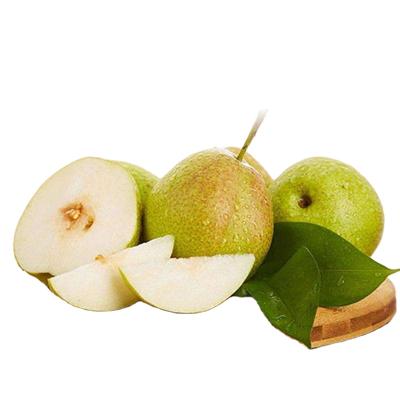 China High Quality Fresh Pear Manufacturer Sweet Green Scented Pear for sale